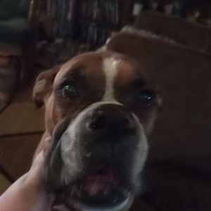 Meet your Posher, Leland